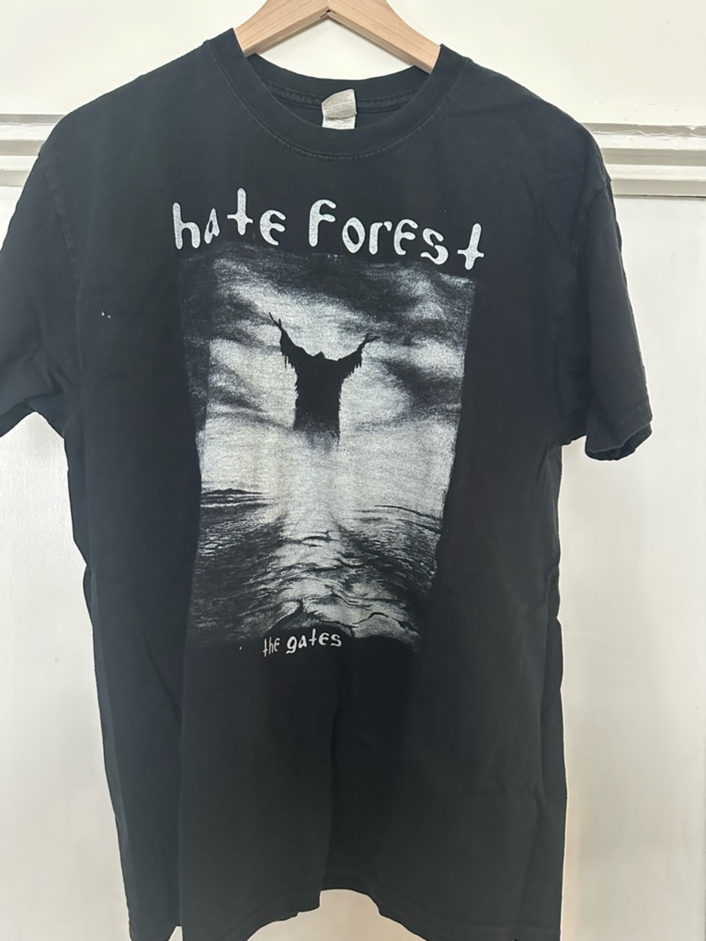 Black 'Hate Forest' Graphic Band Tee